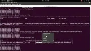 OpenStack Neutron associate Floating Public IP to VM instance and Ping and SSH