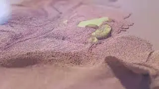 sand simulation #maya #bifros #aftereffects #nuke #3danimation #simulation #sand #vfxshorts