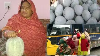 देखो आज कहां गाए और क्या ले आई घर
