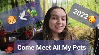 Meet All My Pets 2022