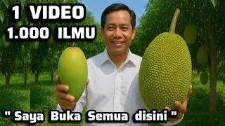 ‼️BONGKAR ILMU PERTANIAN‼️Rahasia Budidaya Durian - Alpukat - Mangga - Nangka - Jagung‼️Pupuk + Hama