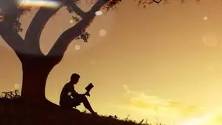 HD Man under the Tree Video/Background | No Text | No Sound