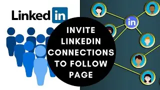 How to invite LinkedIn connections to follow your company page in 2021 | LinkedIn Marketing Tips