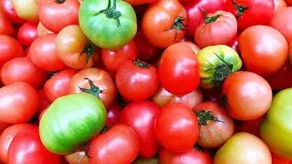From now on, if you see a ripe tomato, buy it unconditionally :: Tomato Juice