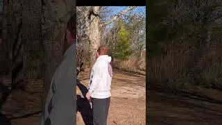 Nope, it was actually parked #discgolf #mvp #axiomdiscs #paradox #parked @Mvpdiscsports #shorts