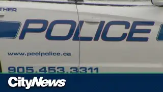 $9 million in stolen goods recovered in Peel police sting