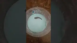 sticky slippery slime!!