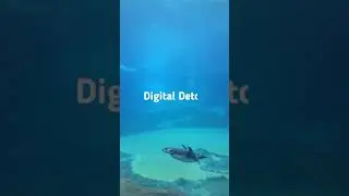 Challenge of the day: Digital Detox