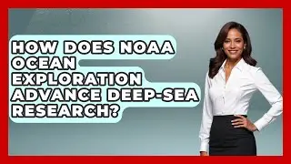 How Does NOAA Ocean Exploration Advance Deep-Sea Research? | The Marine Life Explorer