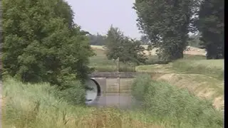 EDE STAAL  Mien Hogelaand