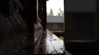 Calm Your Mind ASMR Daytime Rain on Wooden Window Cabin View for Focus Relax Stress Relief 🌧️ #rain