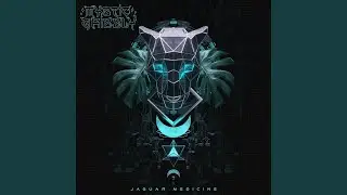 Midnight Jaguar