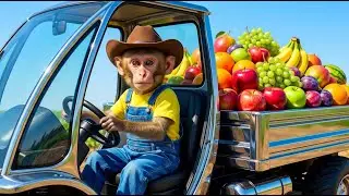 🐒🚜 Smart Monkey Bon Bon Uses Modern Farm Machines to Harvest Fruits | Funny Animal Kids Cartoon 🍇🍎🍌