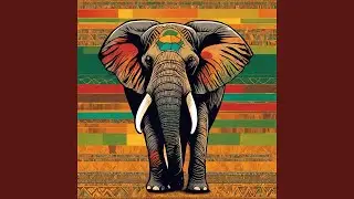 African Expedition