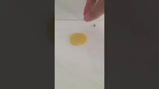Play-Doh Pizza Time Lapse