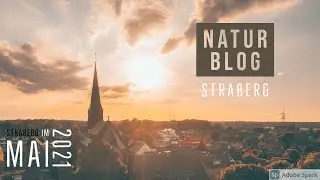 Straberg im Mai 2021