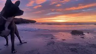 La calma de un rojo amanecer frente al mar