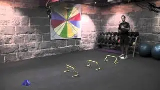 Stride Frequency Drill Dale Harris