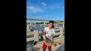 St. Augustine Flounder