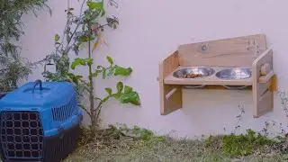 Wall Mounted Large and Medium Breed Dog Food and Water Bowl