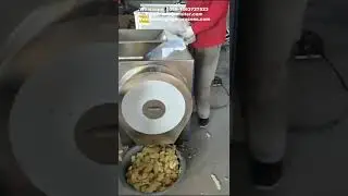 Ginger Slicer Machine with Large Inlet
