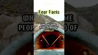 5 Interesting Facts Why We Fear Tunnels #shorts #shortsviral #youtubeshorts #foryou #facts #trending