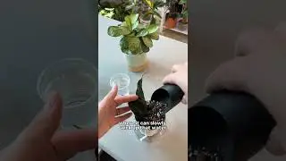 DIY Wick System Hack