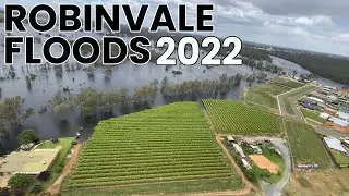 Murray River Floods 2022 - Helicopter Over Robinvale & Euston