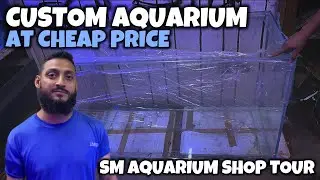 Best Custom Aquariums in Karachi? Visit SM Aquarium Shop Lalukhet Aquarium Market - Imran's World