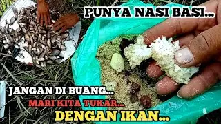 UMPAN TERCEPAT BUBU PAYUNG MEDIA NASI LANGSUNG TESS