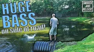 BIG BASS Searching Roadside Ponds w/ FISHBRAIN APP and GOOGLE MAPS! - Get Reel Bass Fishing