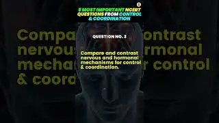 🔍 5 Most Important NCERT Questions from Control and Coordination for Class 10 Science 🌿📚