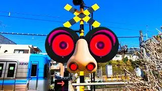 【電車】踏切動画【ふみきり 鉄道】train railway railroad level crossing 顔みたいな踏切