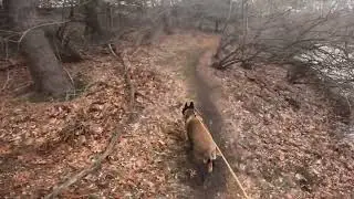 Durand Eastman Park (Head Cam) pt 1