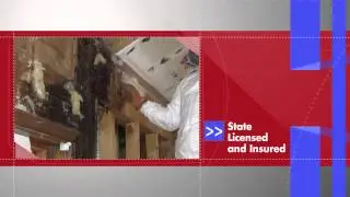 South Florida Mold Inspection