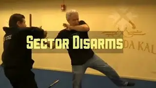 Short Cuts - Sector Disarms