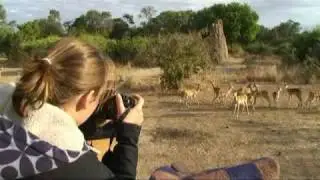 Mama Tembo Tours  Self Drive South Luangwa NP Zambia