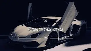 GADDI SHOKEEN JATT DI | PAMMA | MEENAKSHI | REMIX | CALI WEED | 2025 |