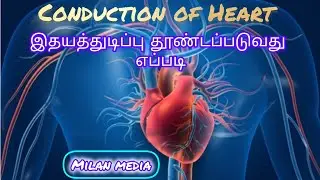 Conduction of heart | electrical system of heart | Natural pacemaker | Tamil  | Milan media