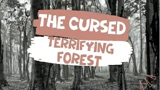 Terrifying story and amazing phenomena in the forest