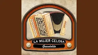 Amor de Mujer