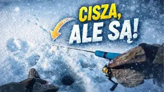 Zimowa mormyszka pod lodem &ndash; brania słabe, ale są ! #wędkarstwo #icefishing