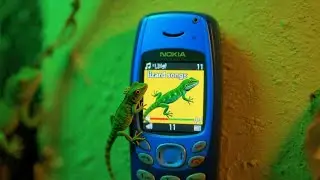 Cicak Cicak di dinding (Nokia 1100 Composer Version) 