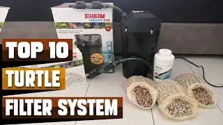 Best Filter System For Turtle In 2026 - Top 10 Filter System For Turtles Review