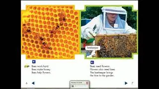 Read and Listen ( English stories ) Bees and Flowers