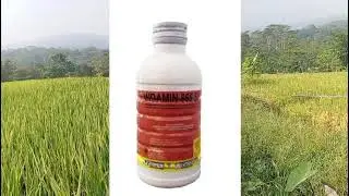 Paket pestisida untuk padi