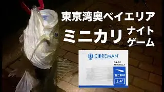 シーバスはミニカリで釣れるか検証してみた。春の東京港湾部シーバス。Tokyo fishing