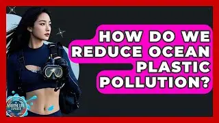 How Do We Reduce Ocean Plastic Pollution? - The Marine Life Explorer