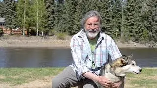 Learn all about the sport of dog mushing in Alaska, with Be My Guest host David | Trafalgar