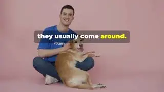 invideo ai 480 animal Rescuer Interview 2025 03 19